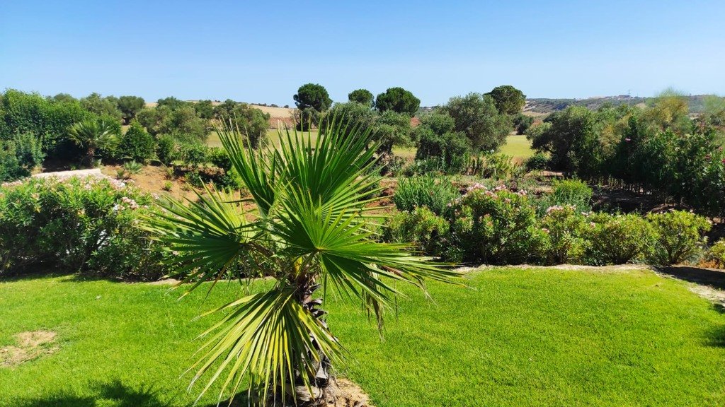 Villa en Arcos de la Frontera, Cádiz, España 6 dormitorios, 435 m2 No. 105685