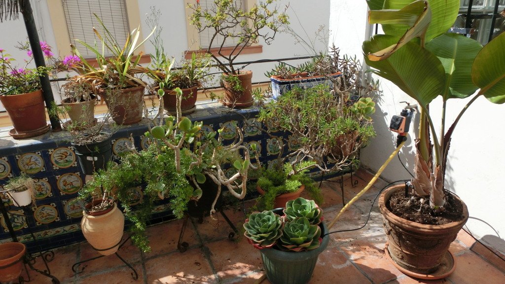 Māja El Puerto de Santa Maria, Cadiz, Spānijā 5 istabas, 514.71 m2 Nr. 105684