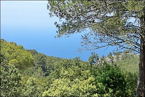 Działka w Valldemosa, Mallorca, Hiszpania nr 103945