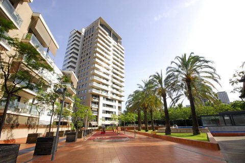 Квартира в Барселона, Испания 3 спальни, 176м2 №22064
