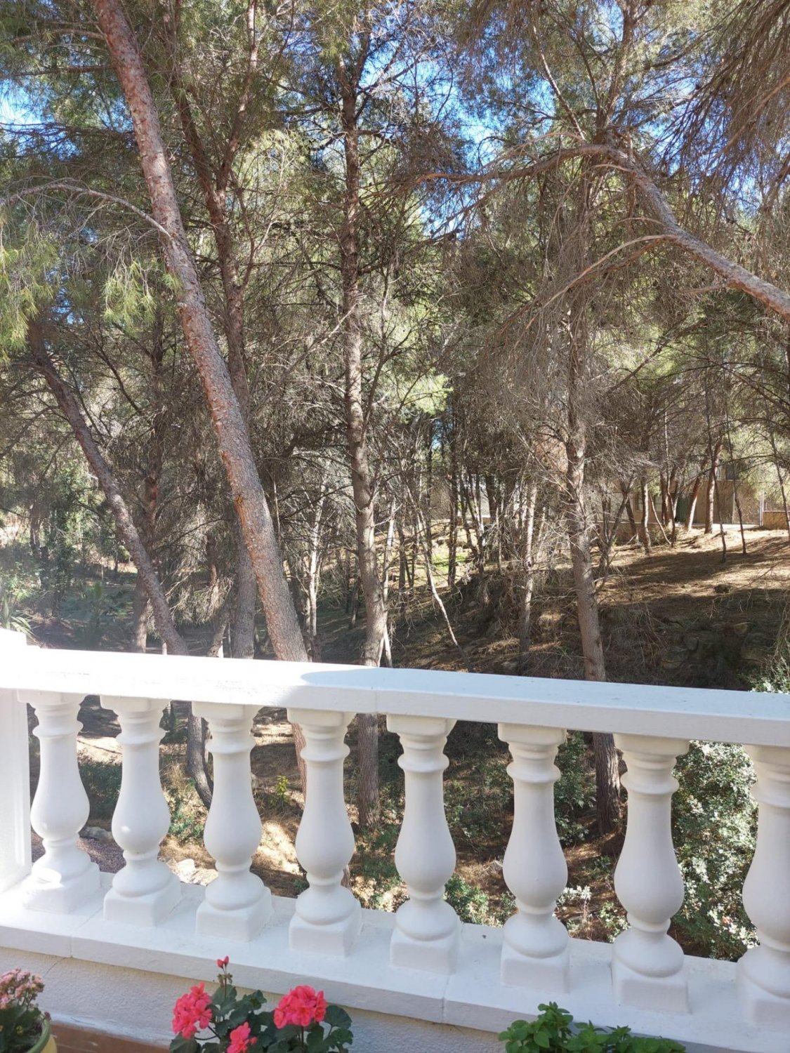 Villa in Algorfa, Alicante, Spain 5 bedrooms, 286 sq.m. No. 95918