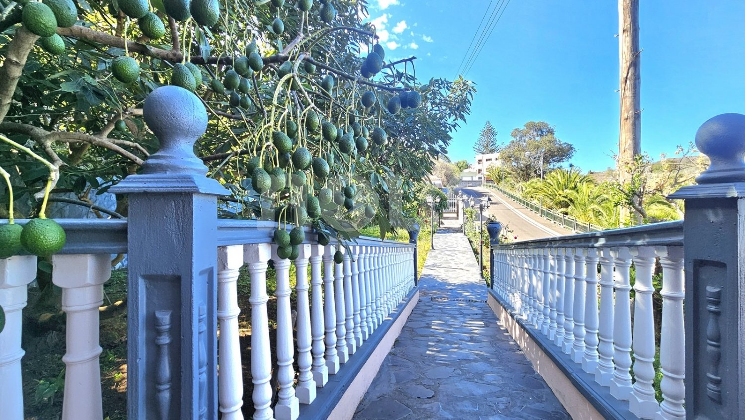 Māja Tenerife, Spānijā 8 istabas, 335 m2 Nr. 109845