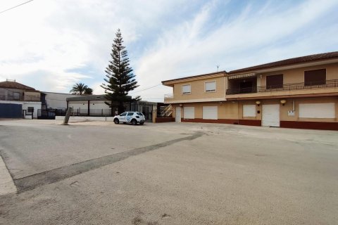 House à Orihuela, Alicante, Espagne 5 chambres, 1650 m2 No. 93155