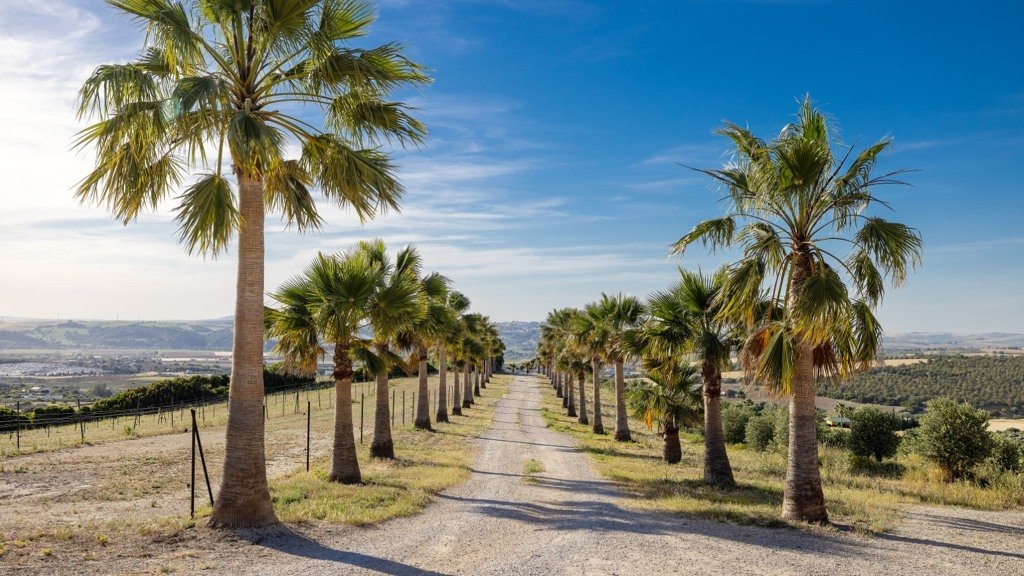 Villa à Cadiz, Espagne 5 chambres, 378 m2 No. 99004