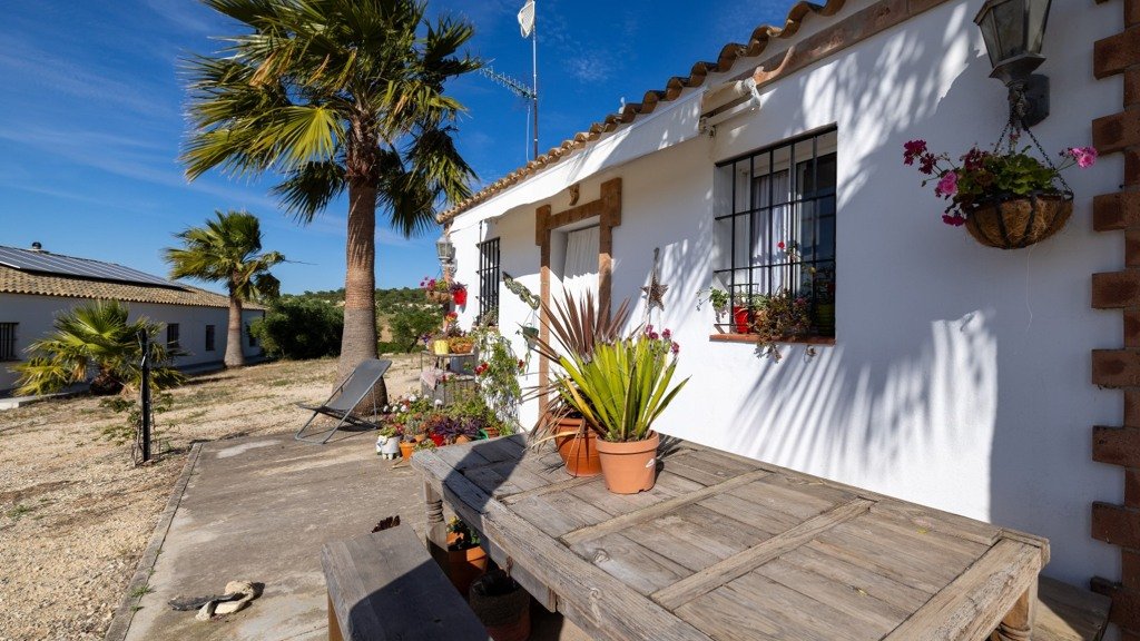 Villa à Cadiz, Espagne 5 chambres, 378 m2 No. 99004