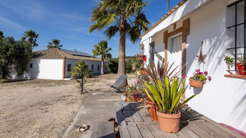 Villa à Cadiz, Espagne 5 chambres, 378 m2 No. 99004