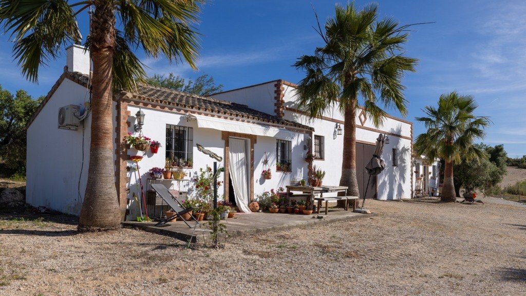Villa à Cadiz, Espagne 5 chambres, 378 m2 No. 99004