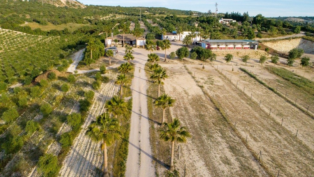 Villa à Cadiz, Espagne 5 chambres, 378 m2 No. 99004