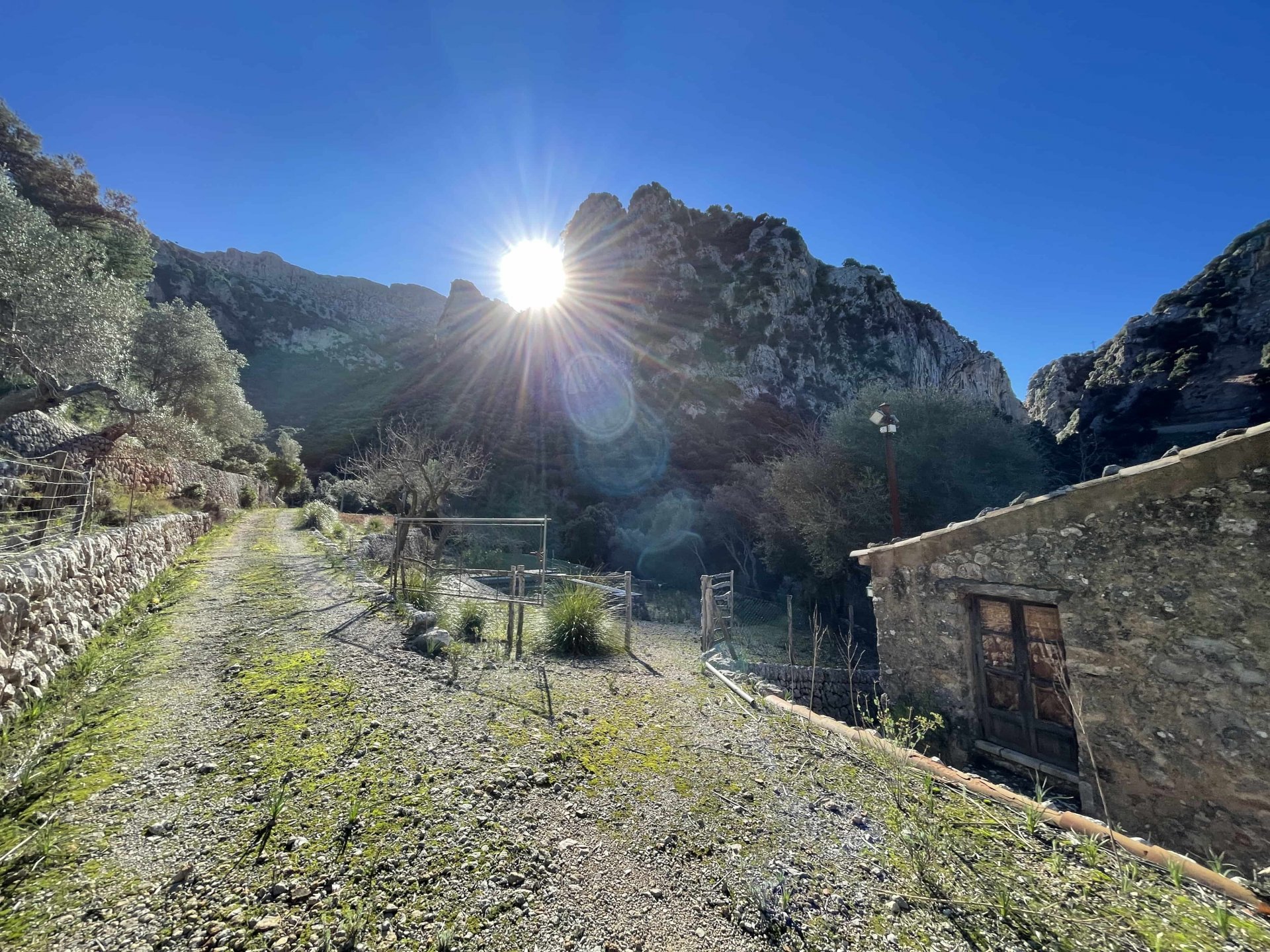 Finca Escorca, Mallorca, Espanja 7 makuuhuonetta, 400 m2 No. 91405