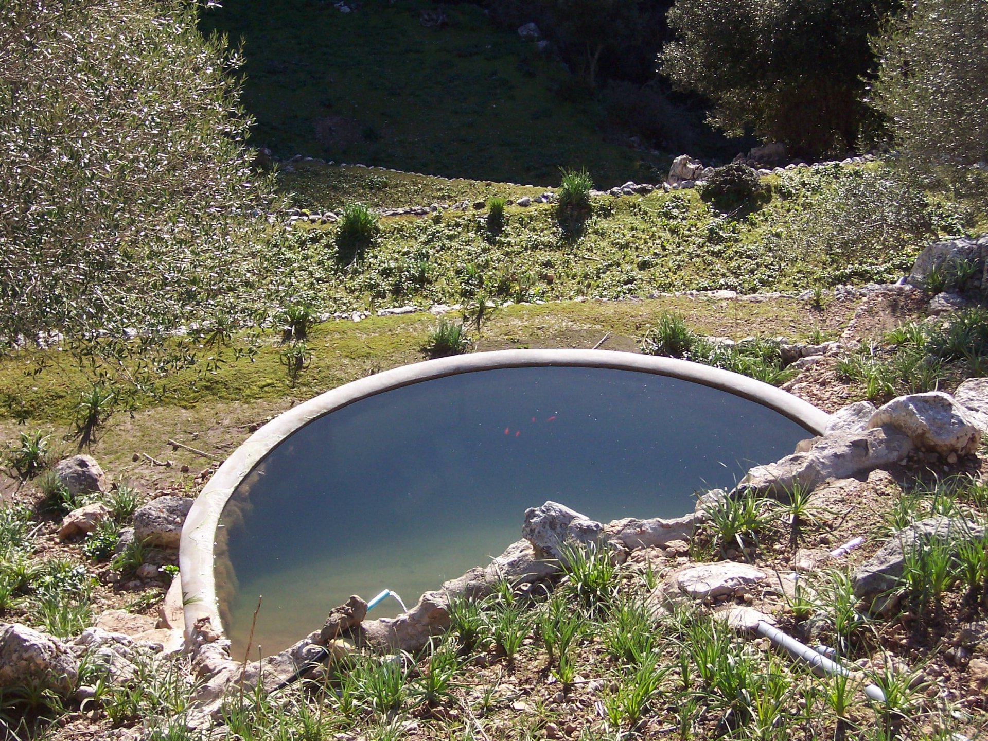 Finca Escorca, Mallorca, Espanja 7 makuuhuonetta, 400 m2 No. 91405