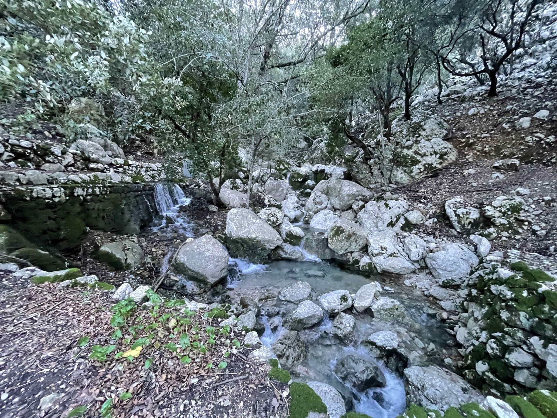 Finca Escorca, Mallorca, Espanja 7 makuuhuonetta, 400 m2 No. 91405