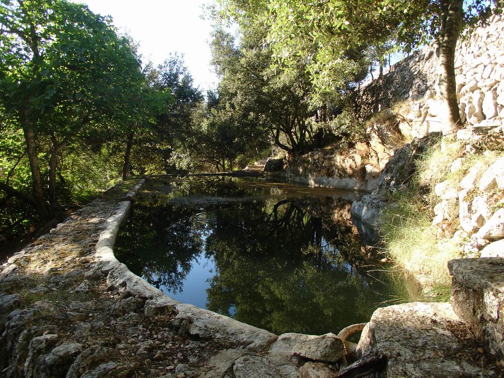 Finca Escorca, Mallorca, Espanja 7 makuuhuonetta, 400 m2 No. 91405