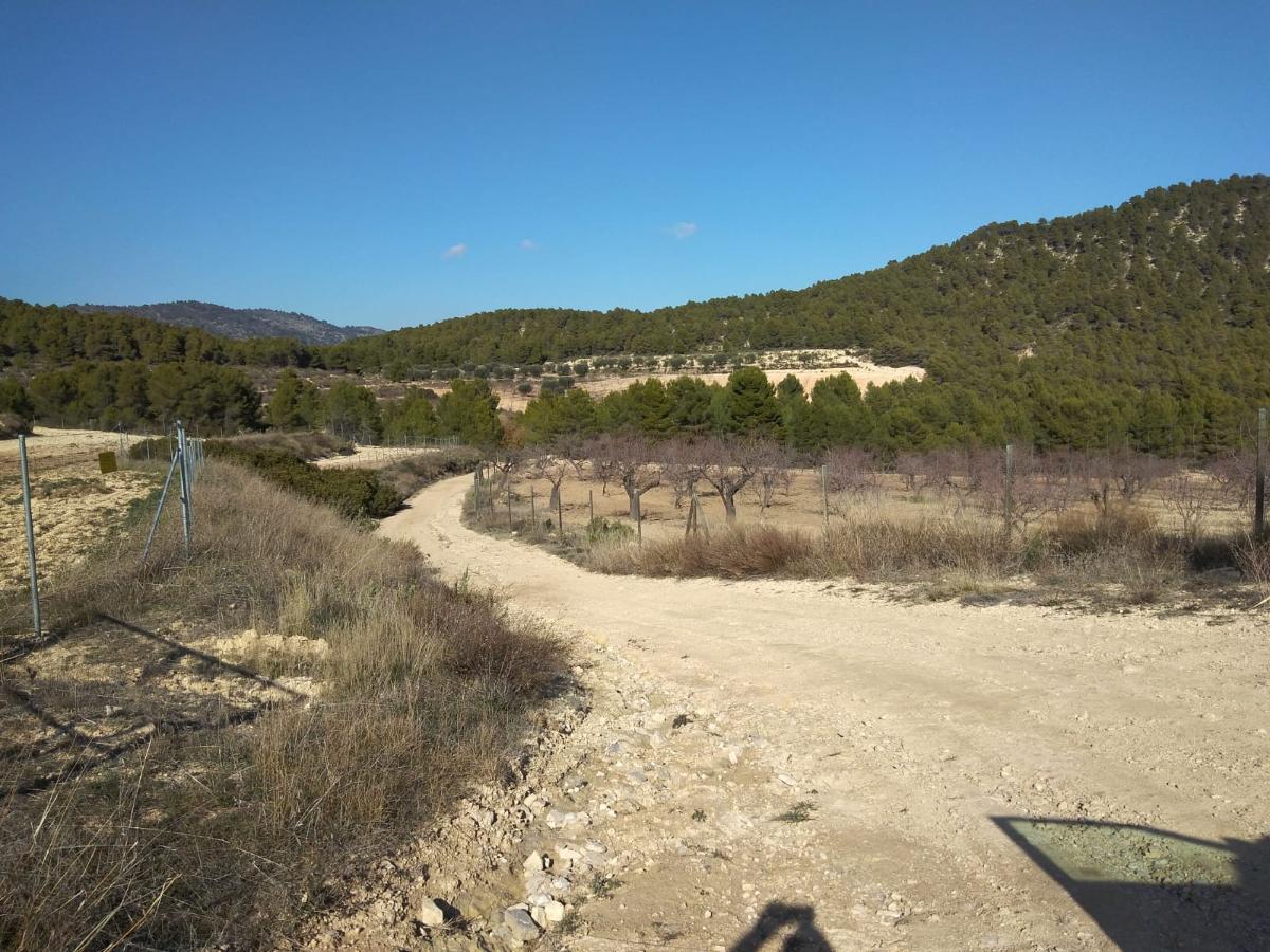 Сasa en Bullas, Murcia, España 400 m2 No. 112936