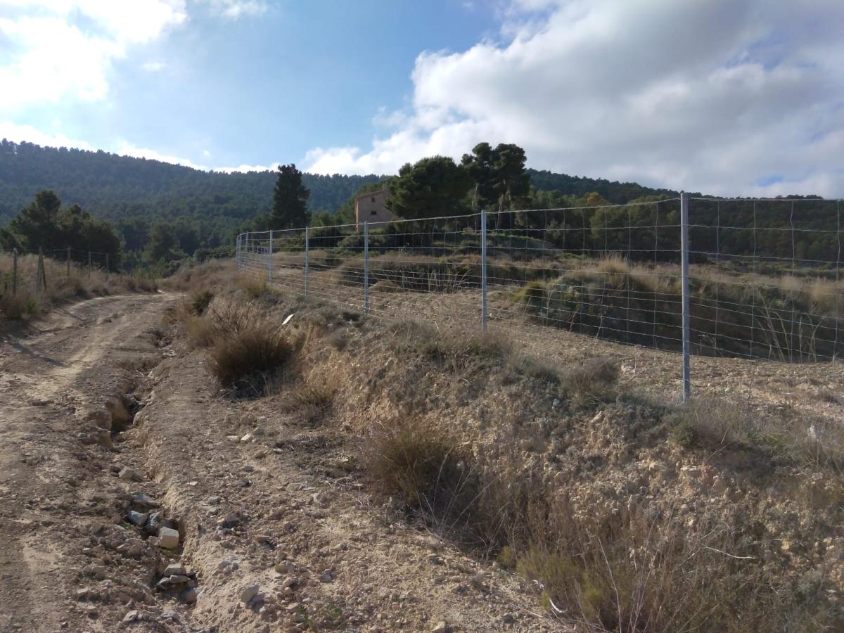 Сasa en Bullas, Murcia, España 400 m2 No. 112936