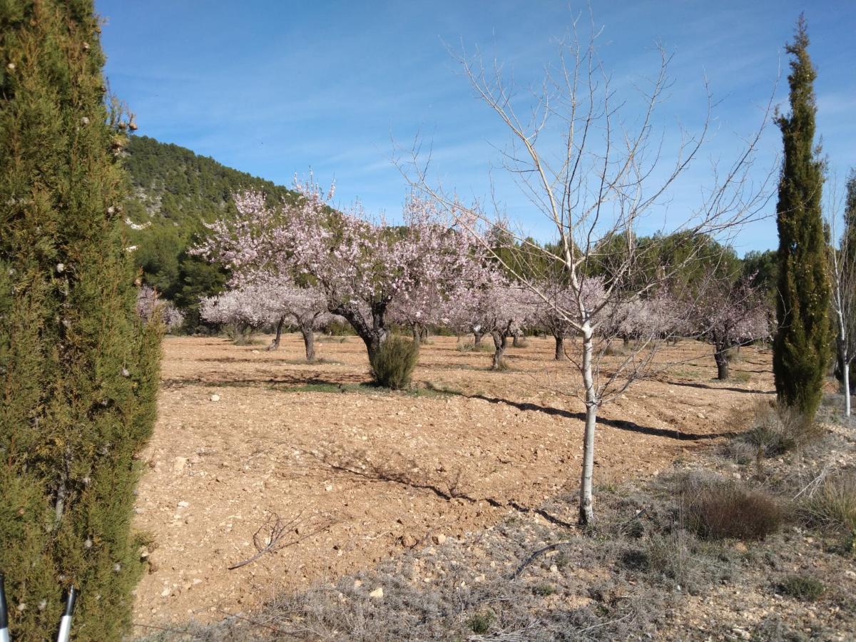 Сasa en Bullas, Murcia, España 400 m2 No. 112936