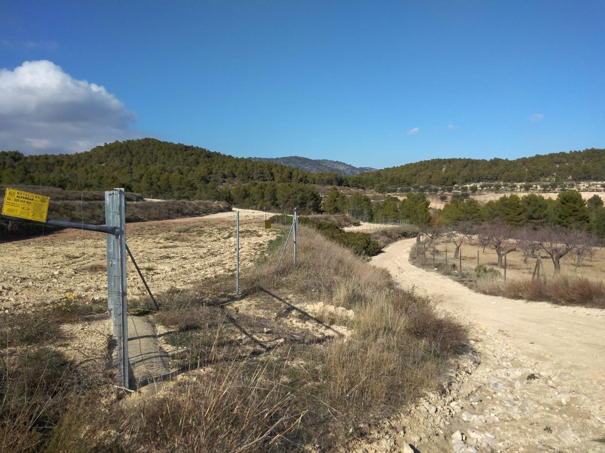 Сasa en Bullas, Murcia, España 400 m2 No. 112936