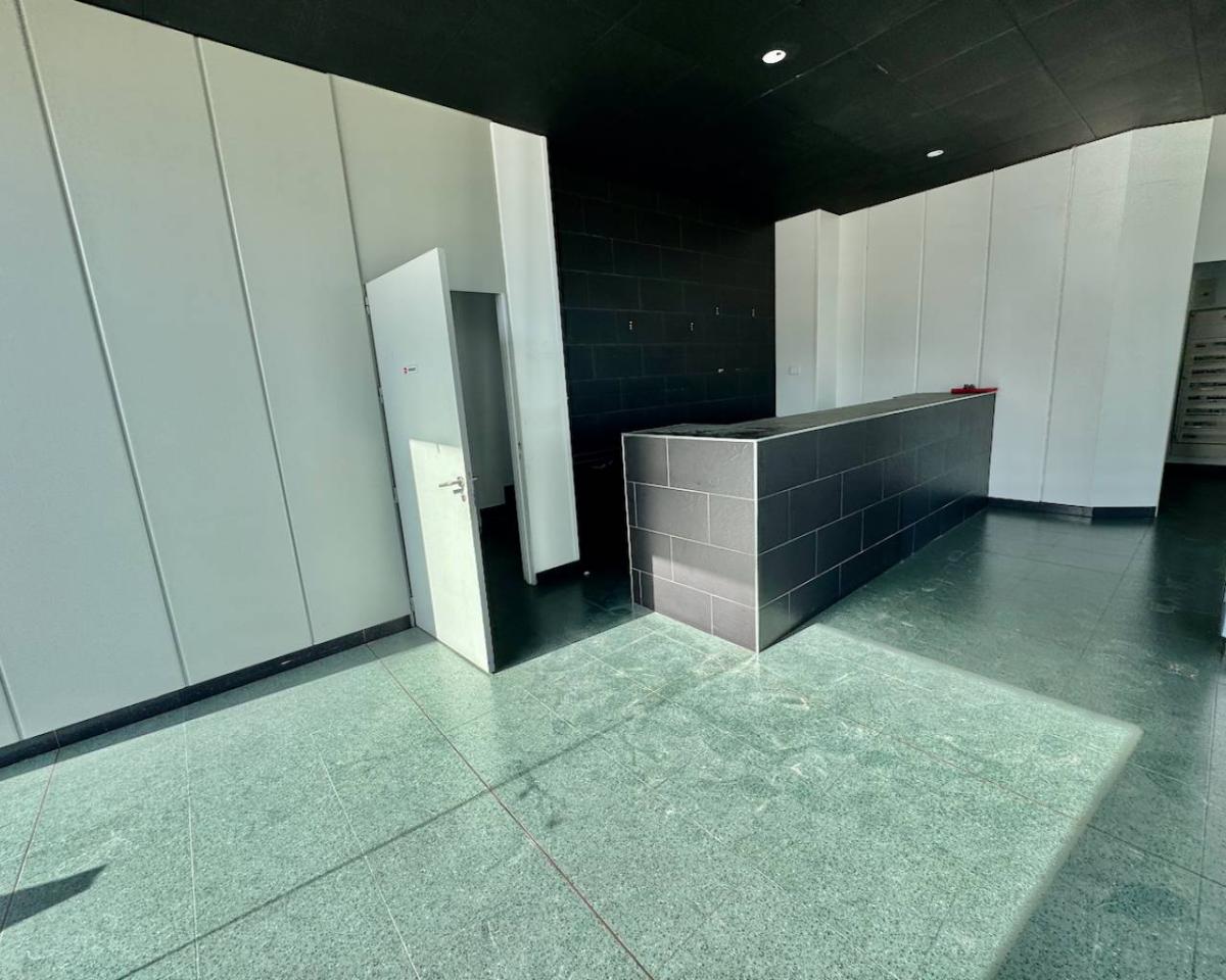 Commercial property in Algorfa, Alicante, Spain 245 sq.m. No. 112938