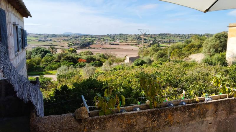 Villa Santa Margalida, Mallorca, Spānijā 4 istabas, 765 m2 Nr. 103257