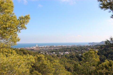 Tontti Javea, Alicante, Espanja No. 90360
