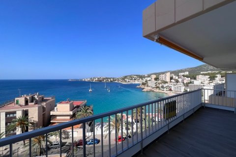 Dzīvoklis Palma de Majorca, Mallorca, Spānijā 3 istabas, 150 m2 Nr. 103866