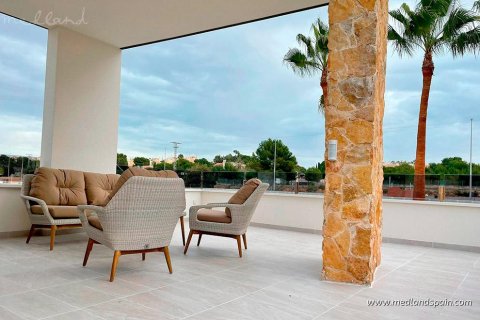 Apartment in Rojales, Alicante, Spain 2 bedrooms, 78 sq.m. No. 108743