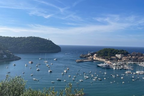 Tontti Port De Soller, Mallorca, Espanja 482 m2 No. 111878