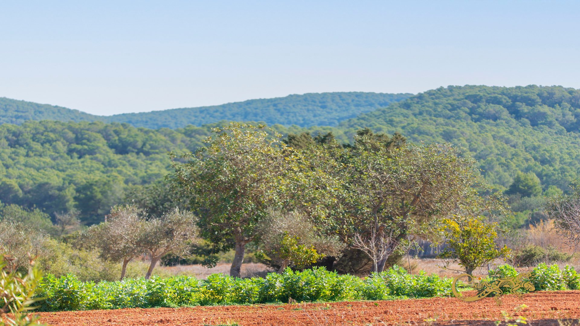Finca San Mateu D'albarca, Ibiza, Espanja 189 m2 No. 130011