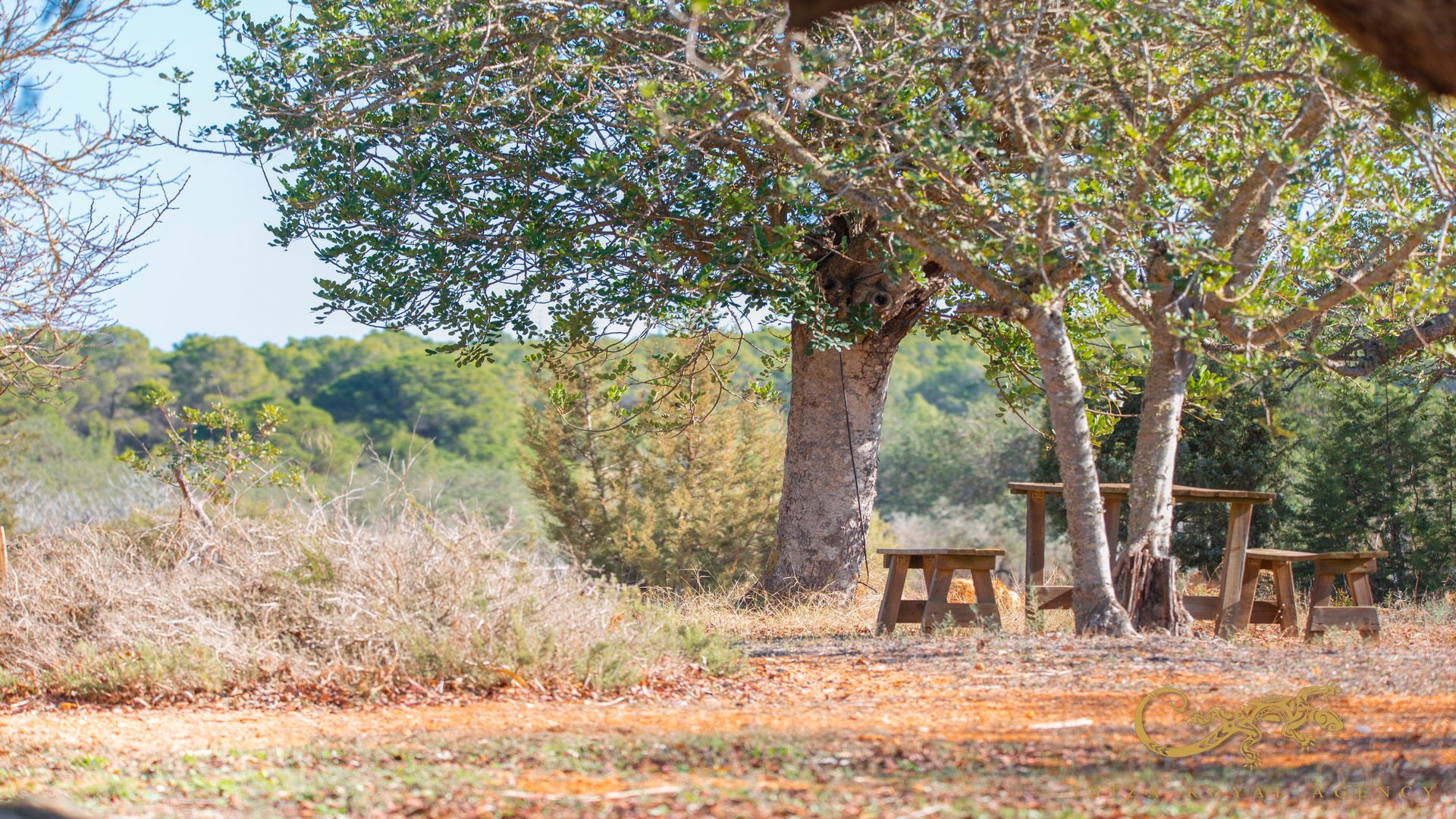 Finca San Mateu D'albarca, Ibiza, Espanja 189 m2 No. 130011