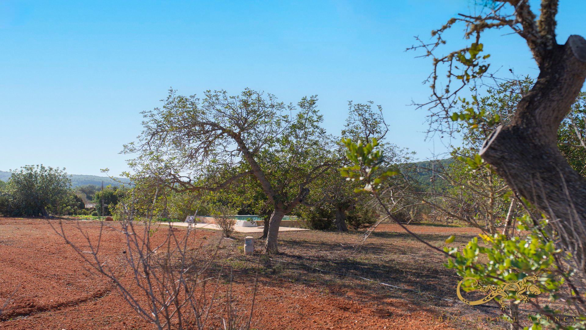 Finca San Mateu D'albarca, Ibiza, Espanja 189 m2 No. 130011