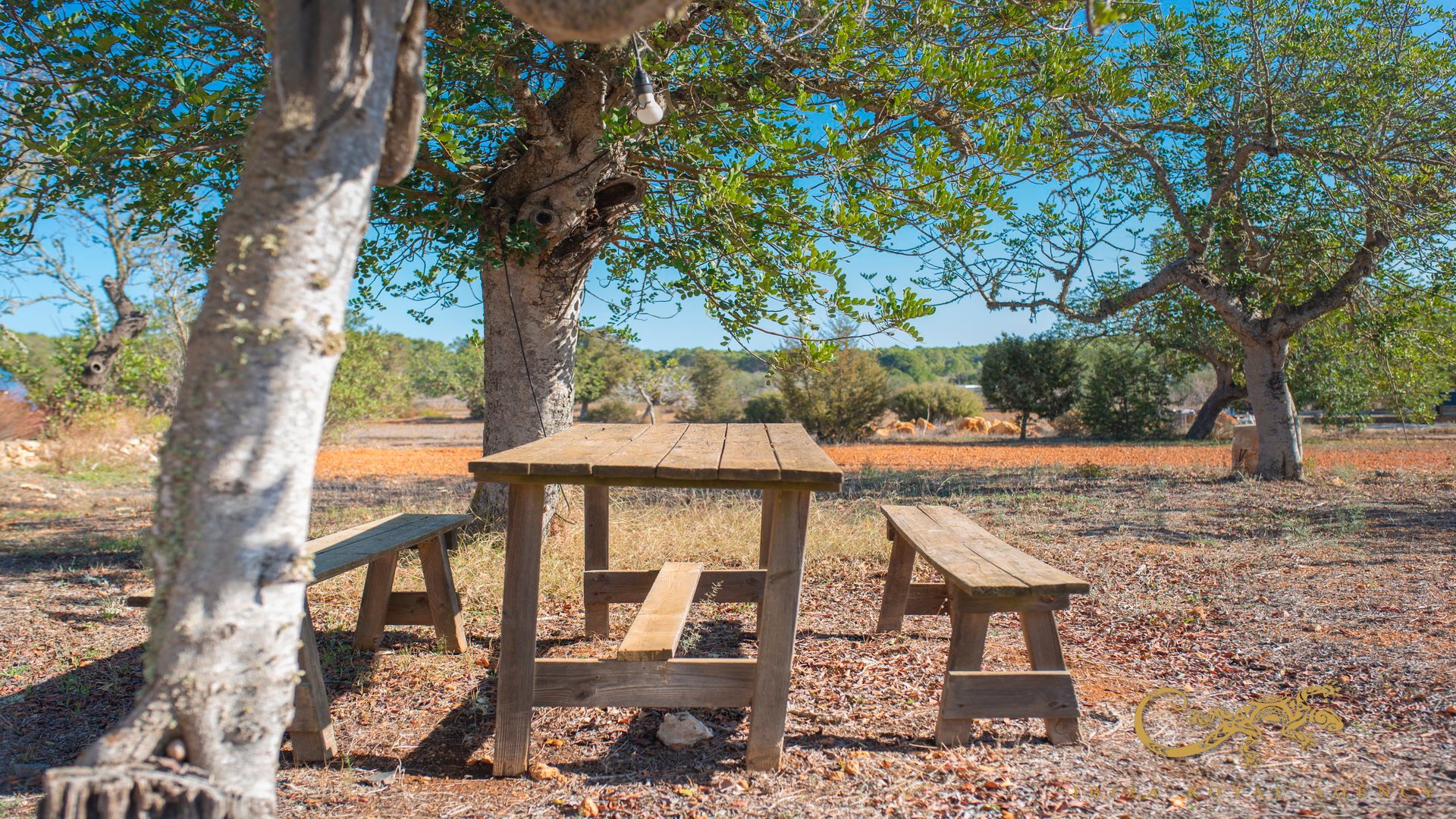 Finca San Mateu D'albarca, Ibiza, Espanja 189 m2 No. 130011