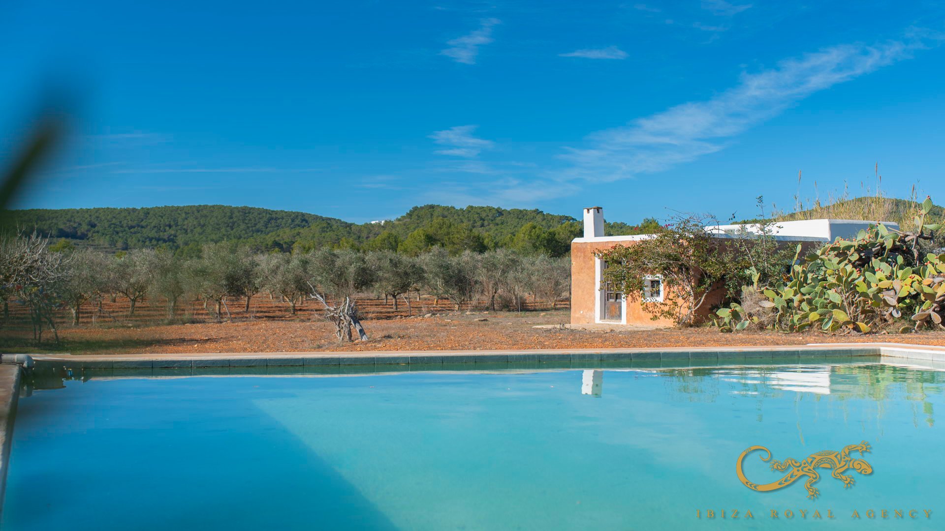 Finca San Mateu D'albarca, Ibiza, Espanja 189 m2 No. 130011