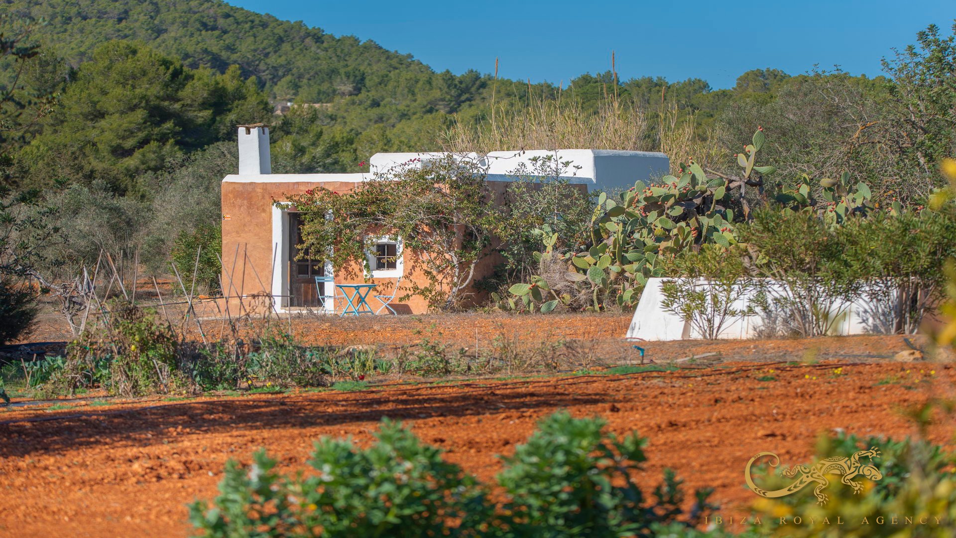 Finca San Mateu D'albarca, Ibiza, Espanja 189 m2 No. 130011