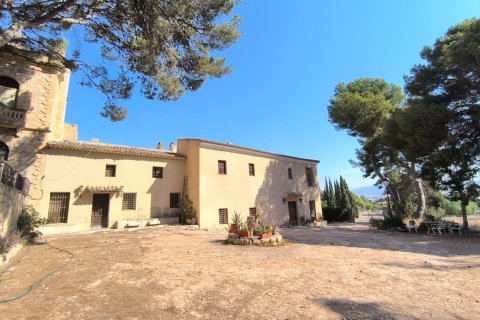 Finca in Monovar, Alicante, Spain 15 bedrooms, 1000 sq.m. No. 126945