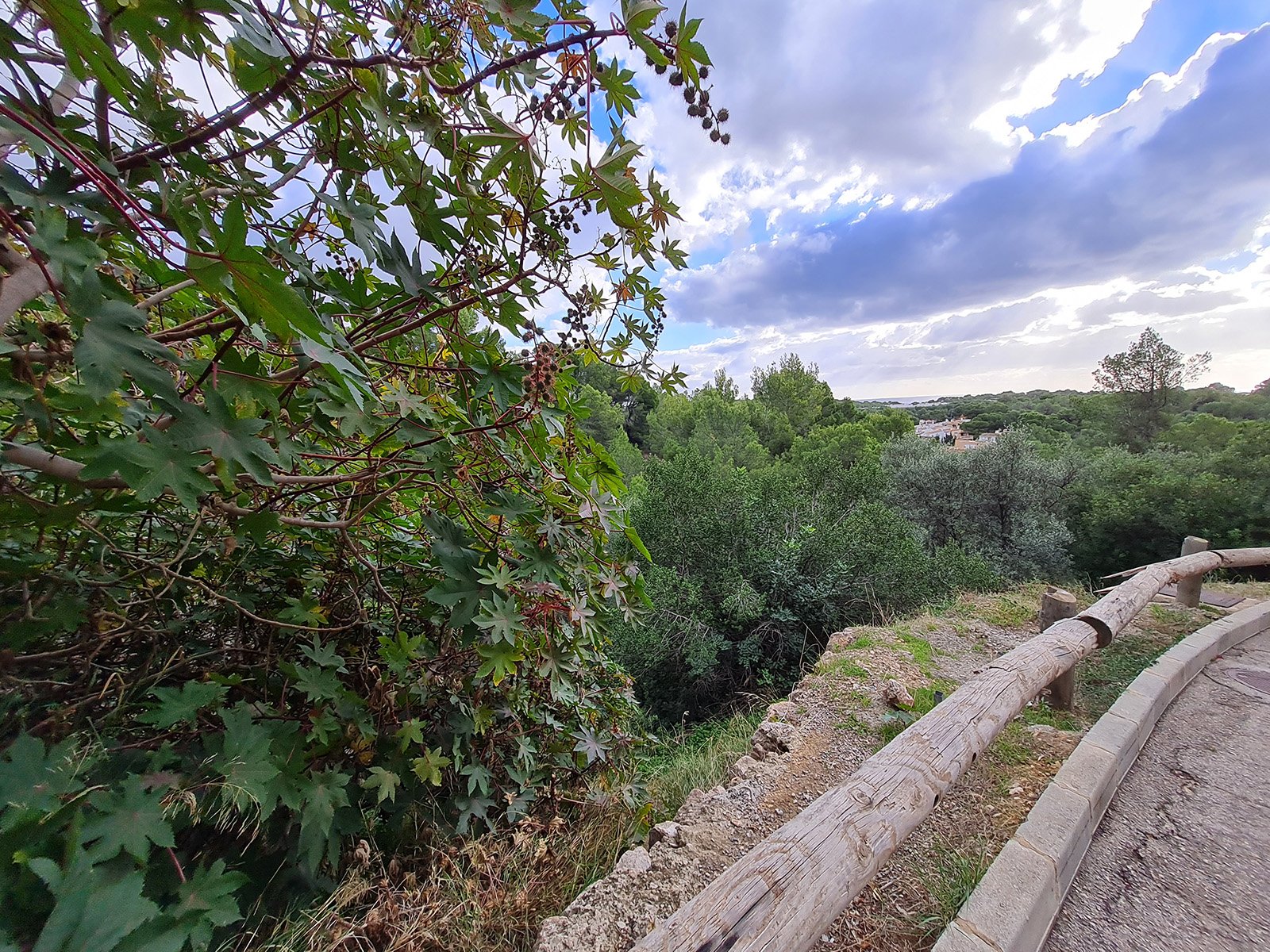 Tontti Portals Nous, Mallorca, Espanja 1356 m2 No. 128158