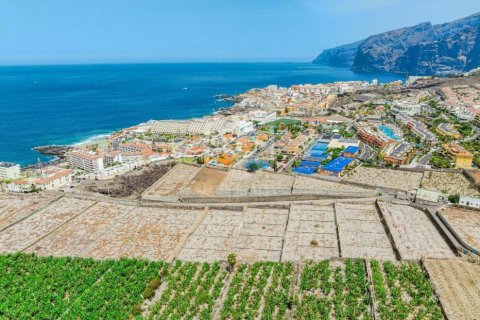 Land in Puerto de Santiago, Tenerife, Spanien Nr. 130905