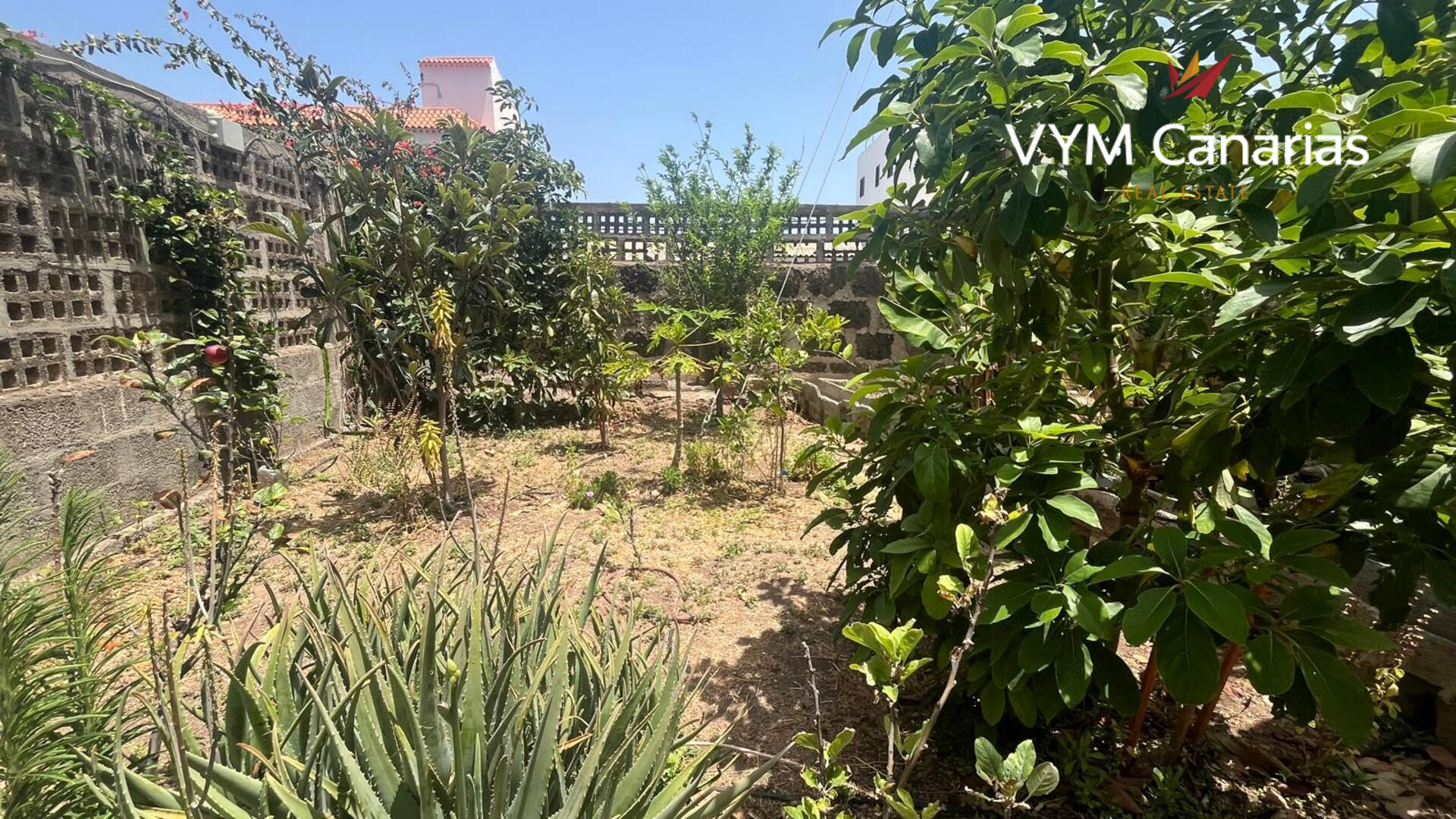 Finca in La Caleta, Ibiza, Spain 7 bedrooms, 95 sq.m. No. 129798