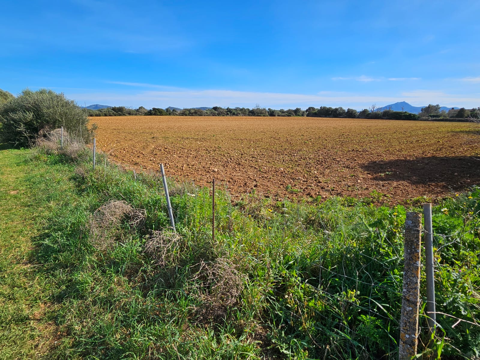 Land plot à Manacor, Mallorca, Espagne 33693 m2 No. 129229