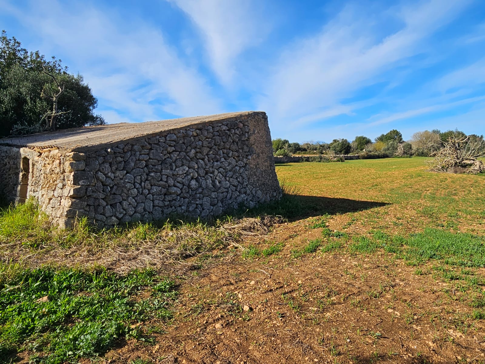 Land plot à Manacor, Mallorca, Espagne 33693 m2 No. 129229