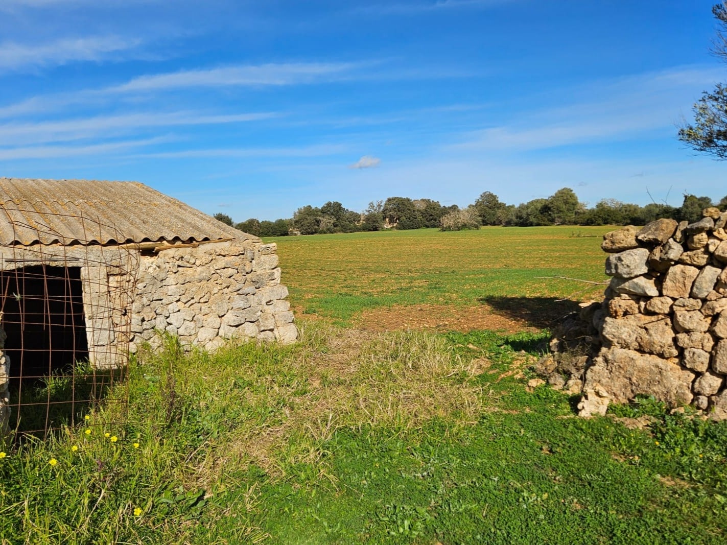 Land plot à Manacor, Mallorca, Espagne 33693 m2 No. 129229