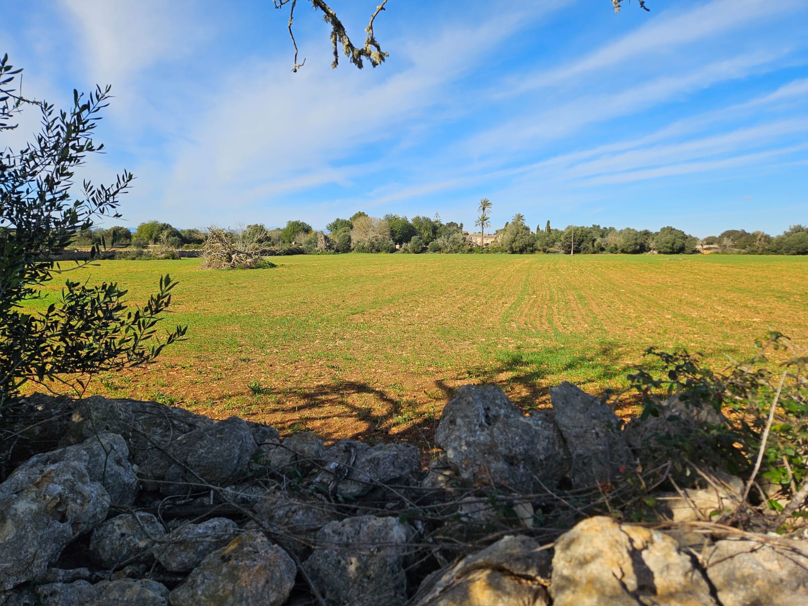 Land plot à Manacor, Mallorca, Espagne 33693 m2 No. 129229
