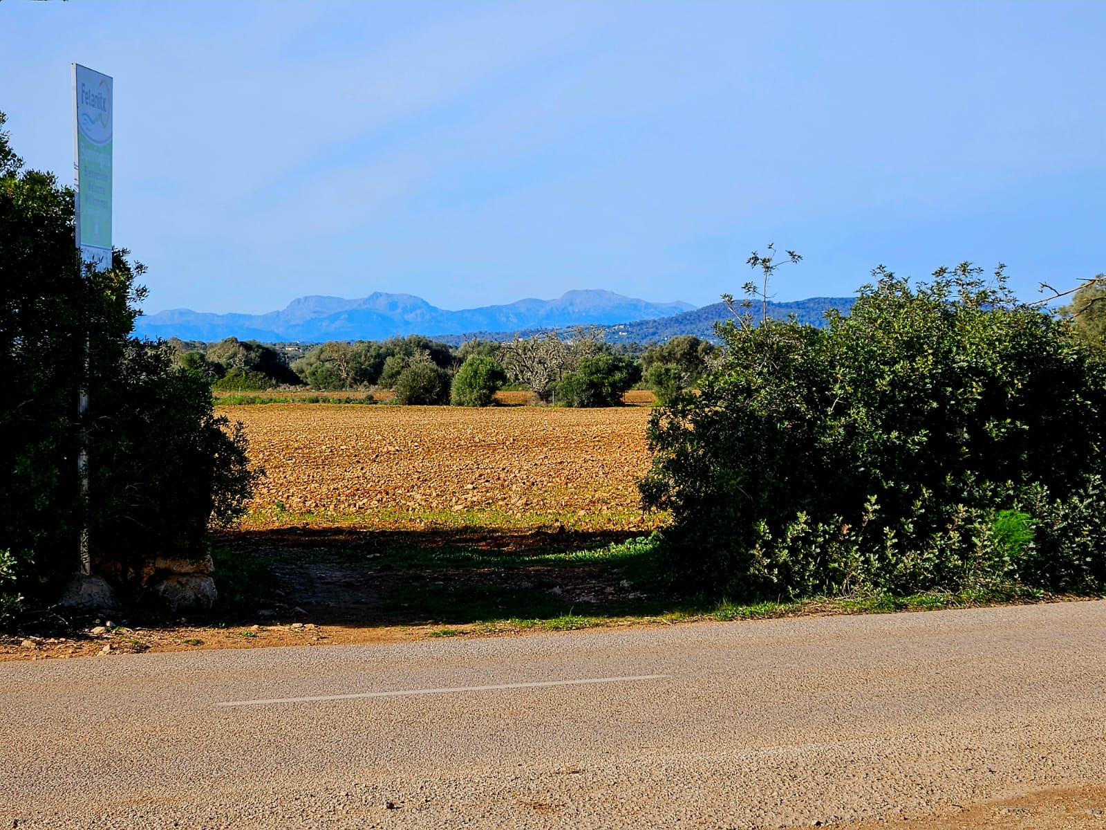Land plot à Manacor, Mallorca, Espagne 33693 m2 No. 129229