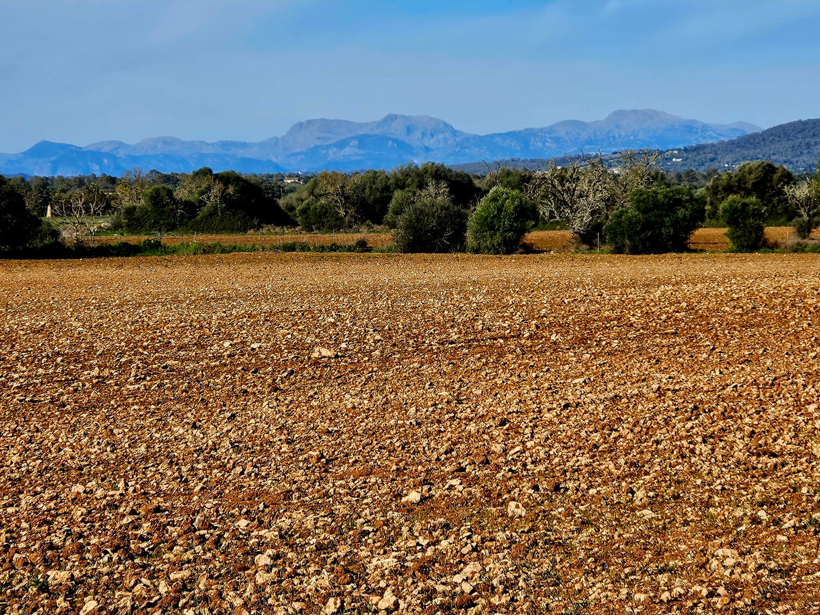 Land plot à Manacor, Mallorca, Espagne 33693 m2 No. 129229