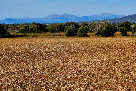 Land plot à Manacor, Mallorca, Espagne 33693 m2 No. 129229