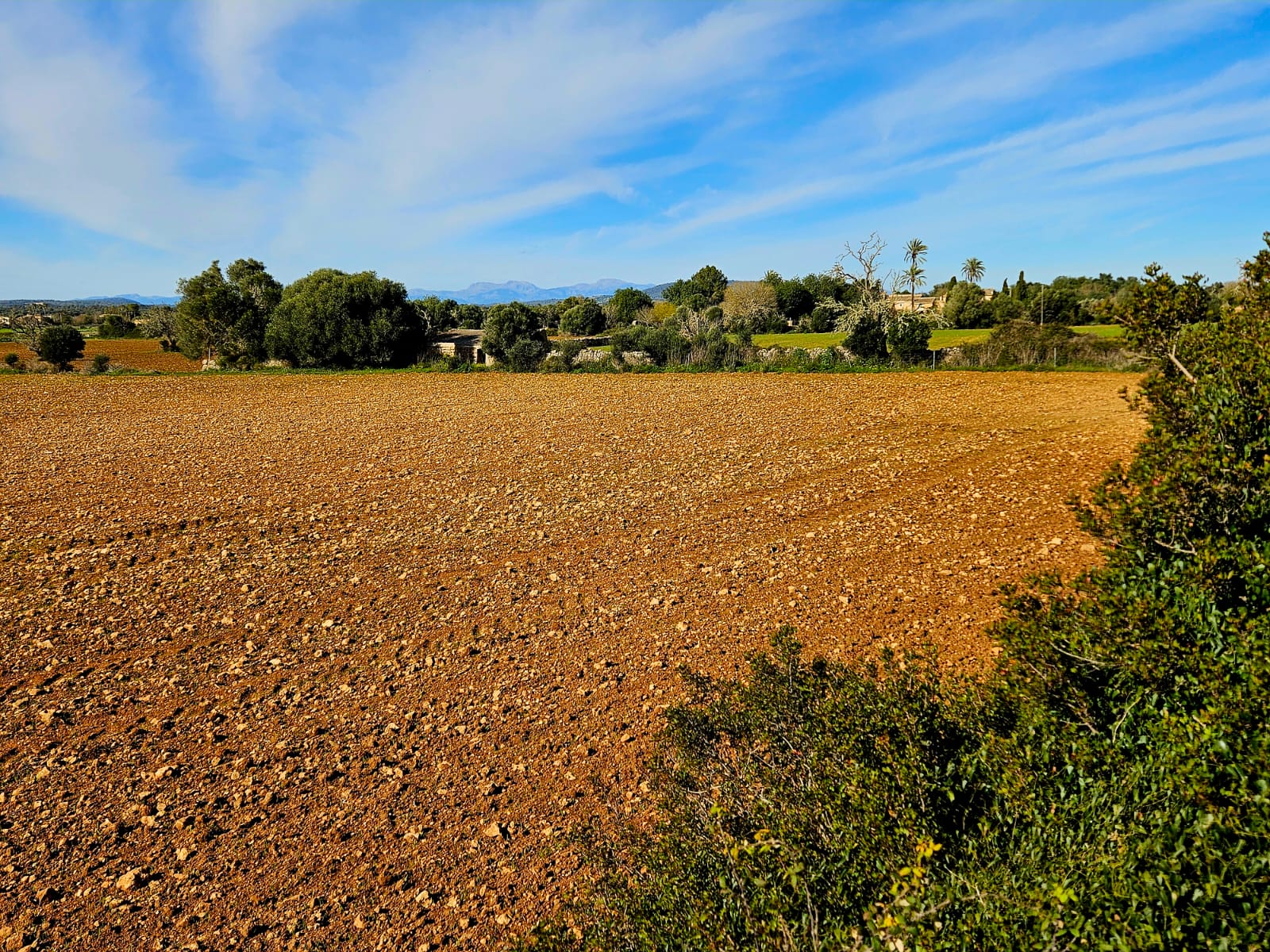 Land plot à Manacor, Mallorca, Espagne 33693 m2 No. 129229