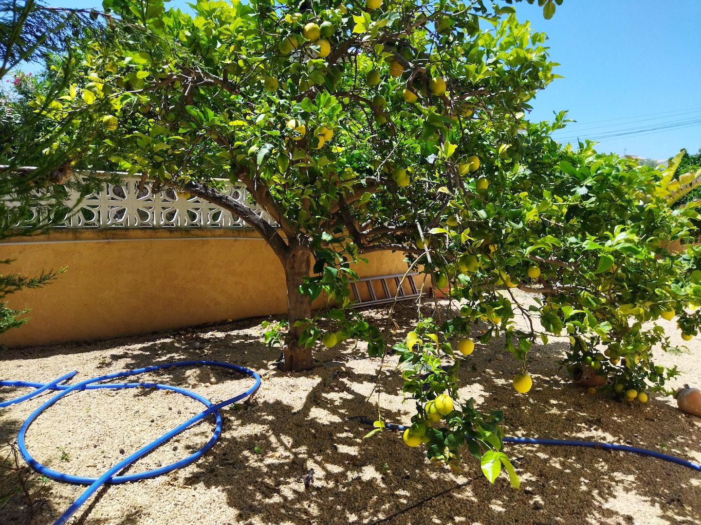 Villa Calpe, Alicante, Spānijā 6 istabas, 304 m2 Nr. 122000