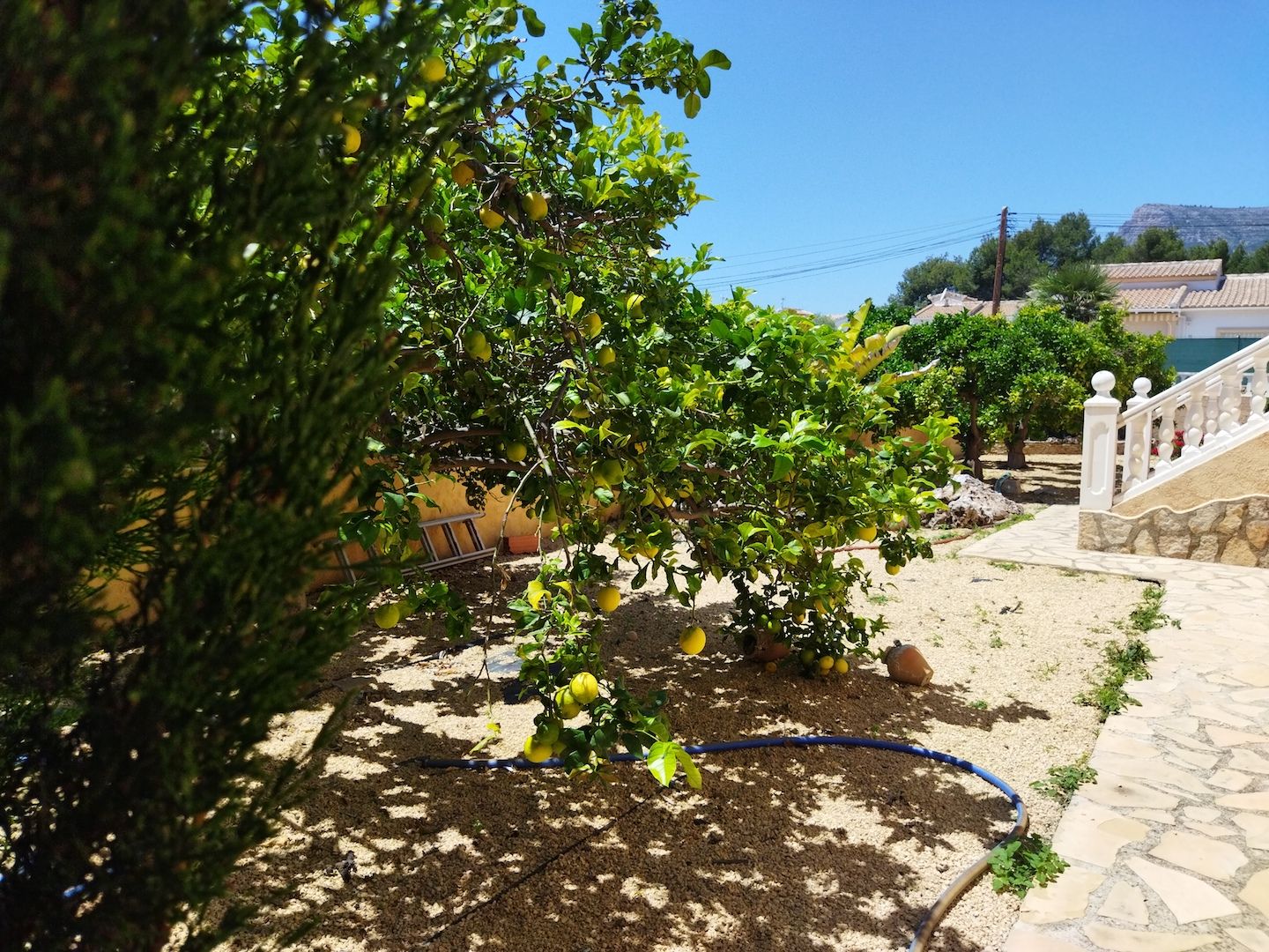 Villa Calpe, Alicante, Spānijā 6 istabas, 304 m2 Nr. 122000
