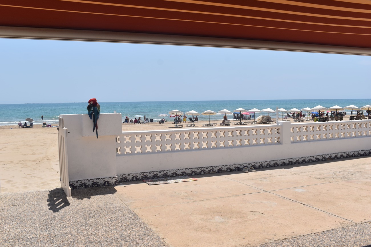 Villa i Guardamar del Segura, Alicante, Spanien 6 sovrum, 199 kvm. Nr. 125979