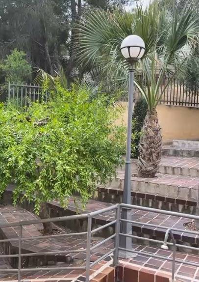 Villa in El Palmar, Murcia, Spain 6 bedrooms, 781 sq.m. No. 129389