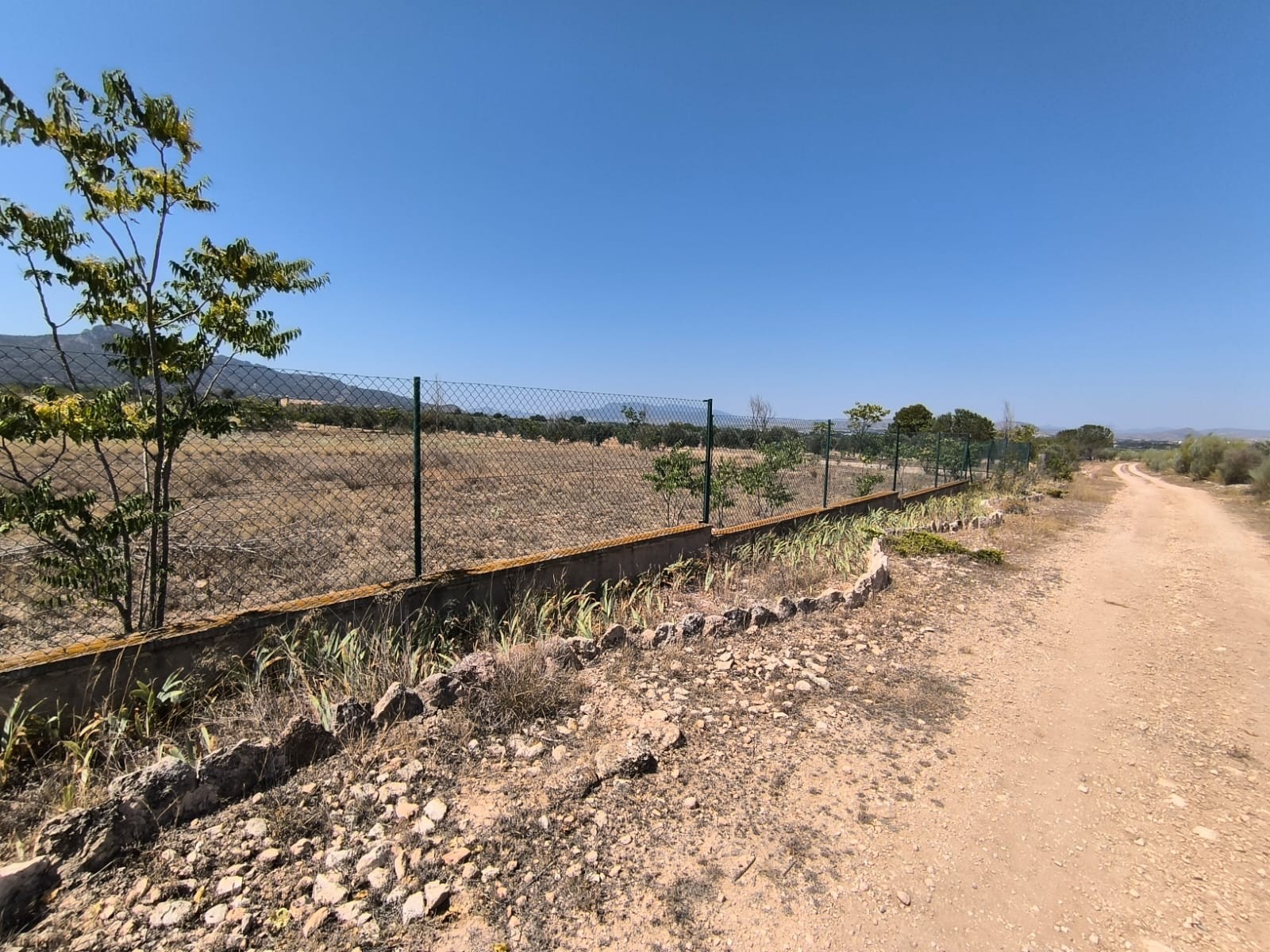 Finca Villena, Alicante, Spānijā 6 istabas, 606 m2 Nr. 131537