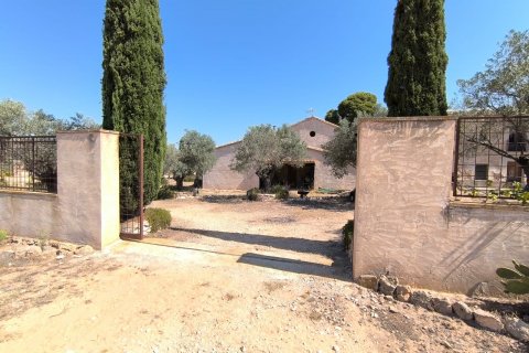 Finca in Villena, Alicante, Spain 6 bedrooms, 606 sq.m. No. 131537